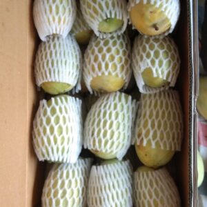 Premium Ripe Kesar Mango Famous of Talala Gir (Organic) - 9 KG