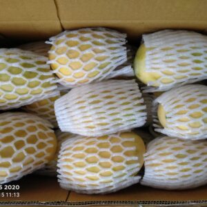 Premium Ripe Kesar Mango Famous of Talala Gir (Organic) - 4.5 KG