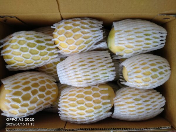Premium Ripe Kesar Mango Famous of Talala Gir (Organic) - 4.5 KG